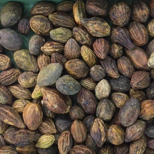 Organic Haritaki image 1