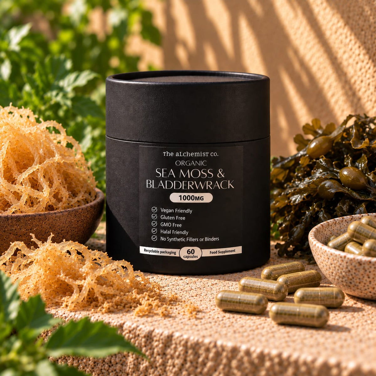 Organic Seamoss and Bladderwrack